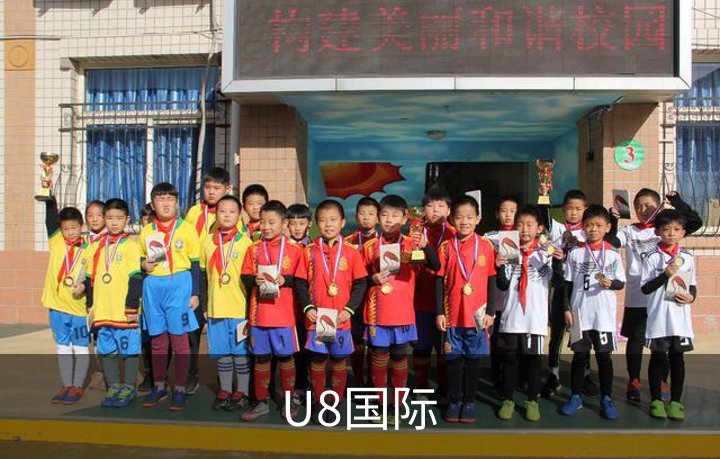 U8国际简介